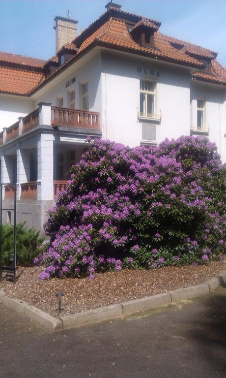 Vila Olga Jevany Esterno foto